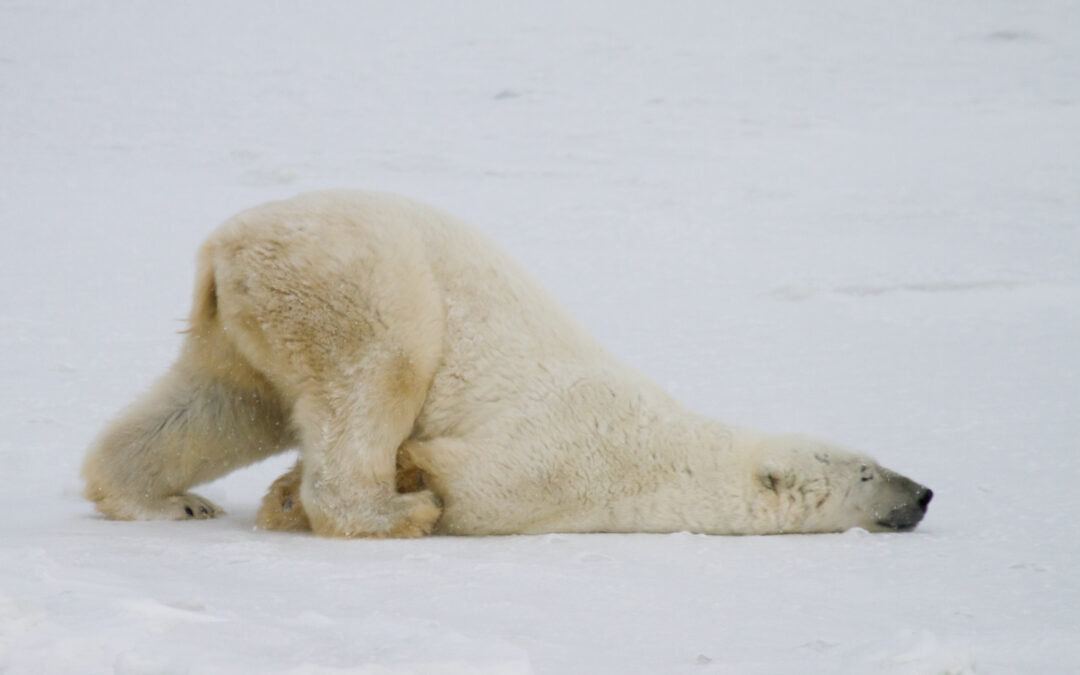 Le Bore Out ! Un phénomène aussi destructeur que le Burn Out?