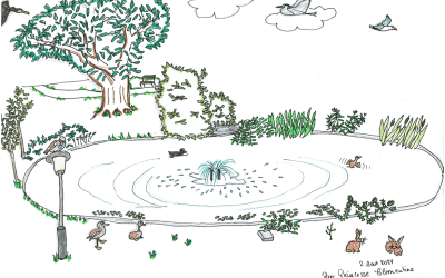 L’instant méditatif sur la vie : la sale habitude de se comparer aux autres !