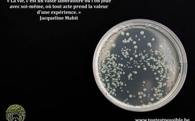 Chronique intérieure (presque) incorrecte chapitre 1